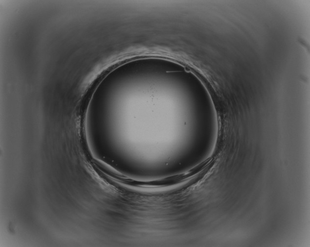 X0000095541503200712141513
