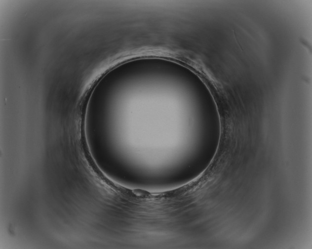 X0000095541504200712141513