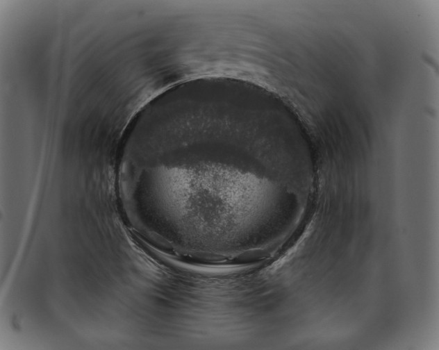 X0000095541505200712141513