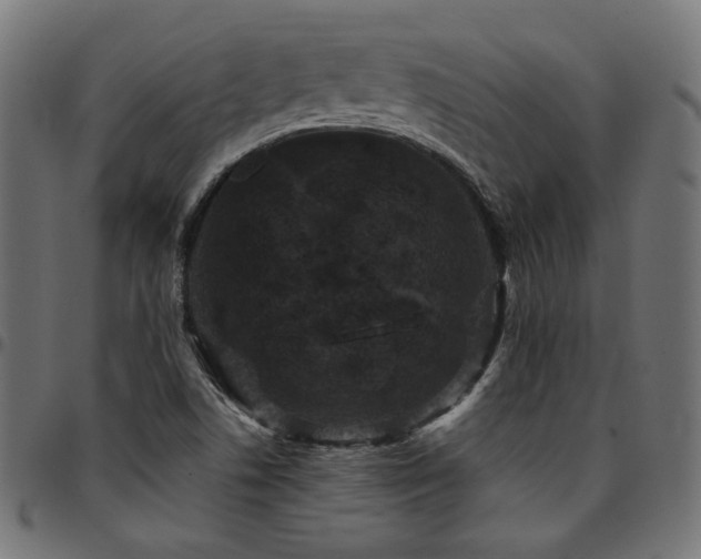 X0000095541506200712141513