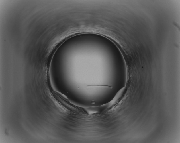 X0000095541507200712141513