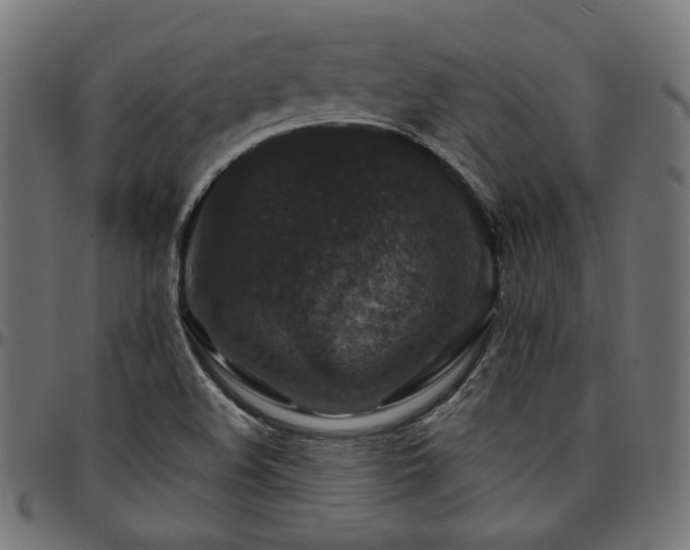 X0000095541508200712141513