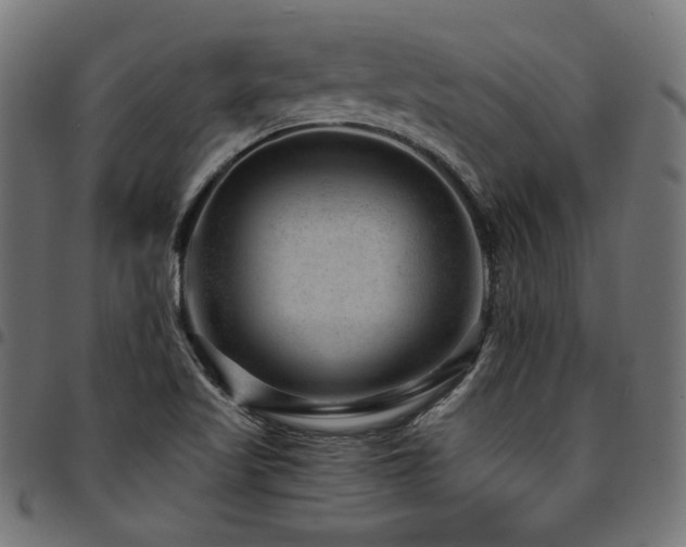 X0000095541509200712141513