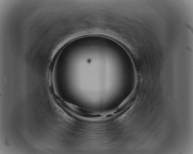 X0000095541510200712141513