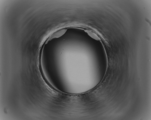 X0000095541512200712141513