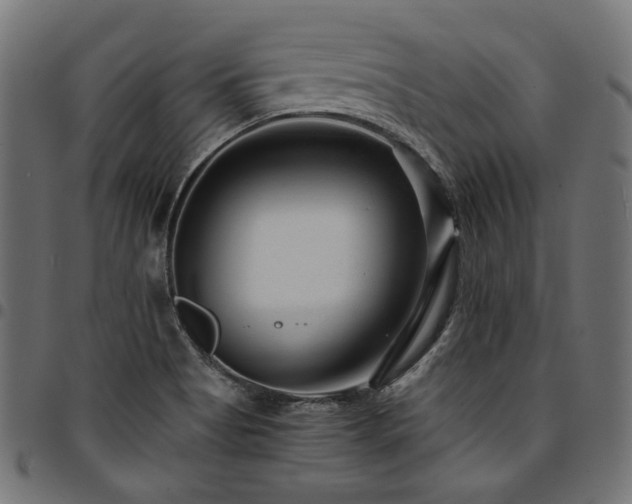X0000095541513200712141513