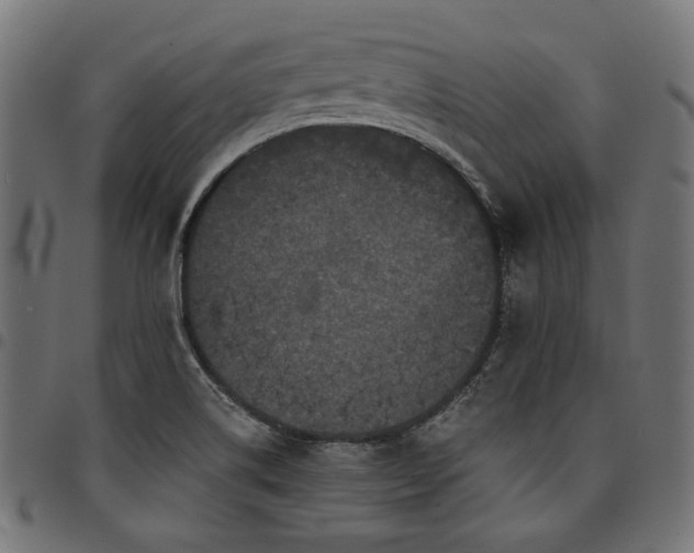 X0000095541514200712141513