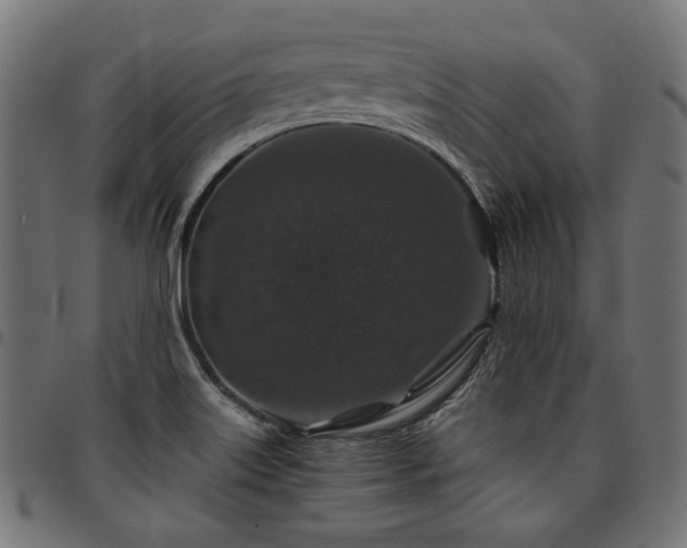 X0000095541515200712141513