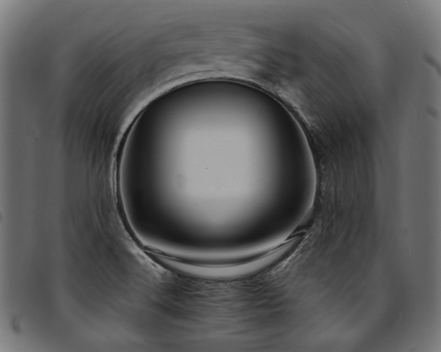 X0000095541516200712141513