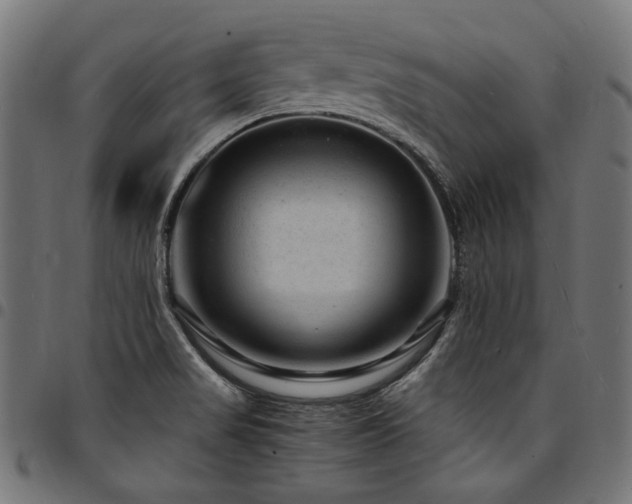 X0000095541517200712141513