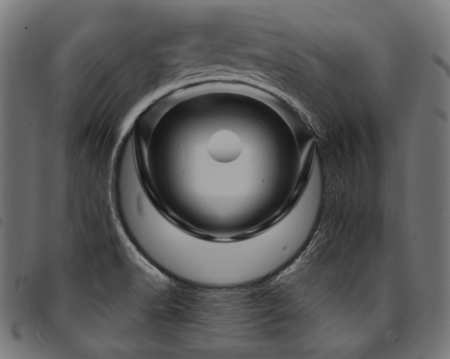 X0000095541518200712141513