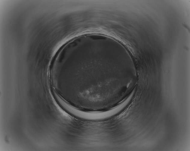 X0000095541519200712141513