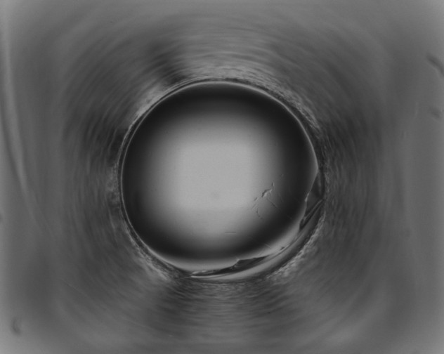 X0000095541521200712141513