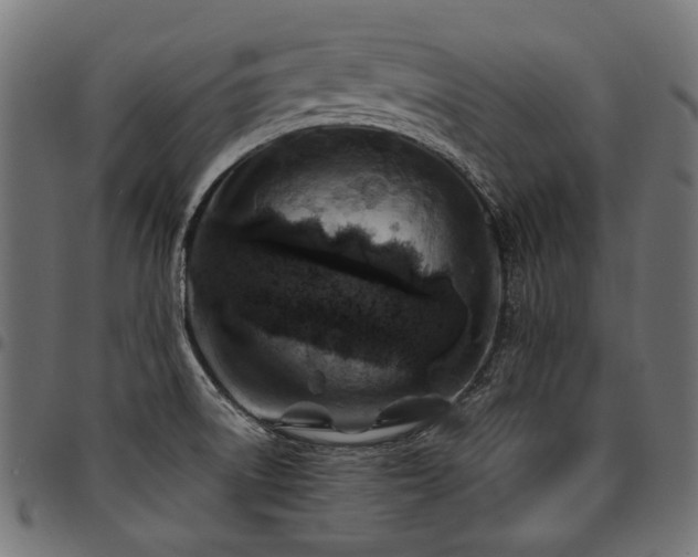 X0000095541522200712141513