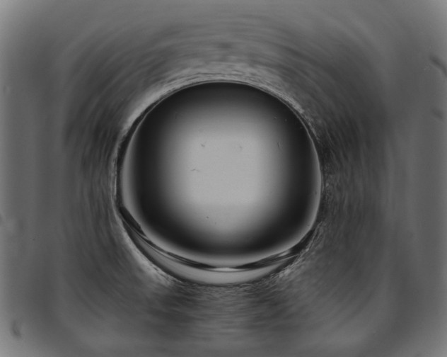 X0000095541523200712141513