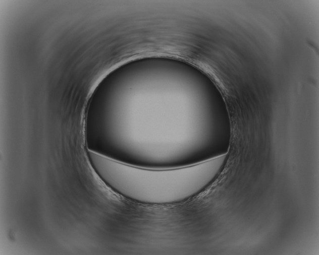 X0000095541524200712141513
