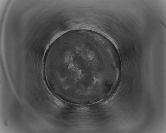 X0000095541525200712141513