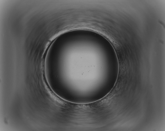 X0000095541526200712141513