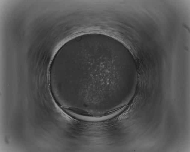 X0000095541527200712141513