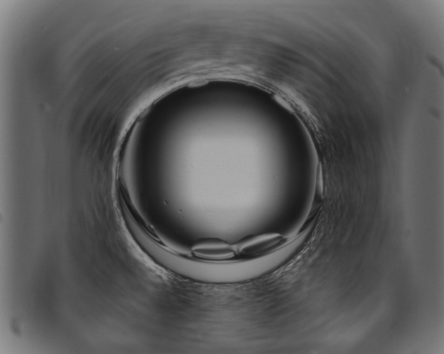 X0000095541528200712141513