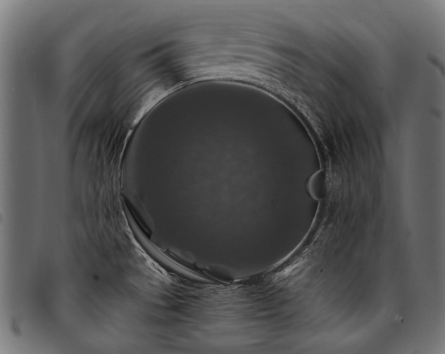 X0000095541529200712141513