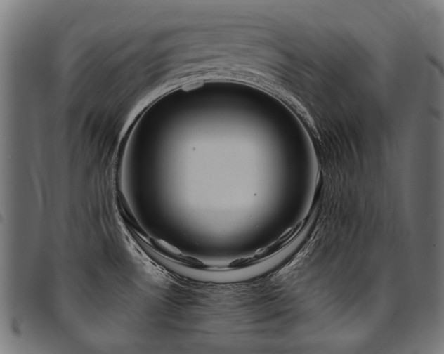 X0000095541530200712141513