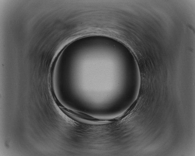 X0000095541531200712141513