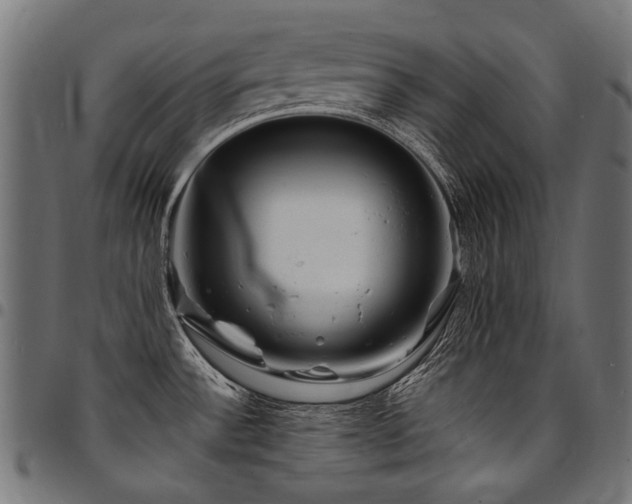 X0000095541532200712141513