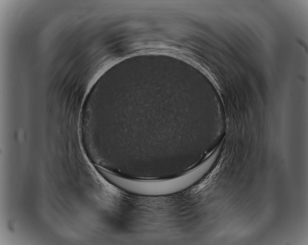 X0000095541533200712141513