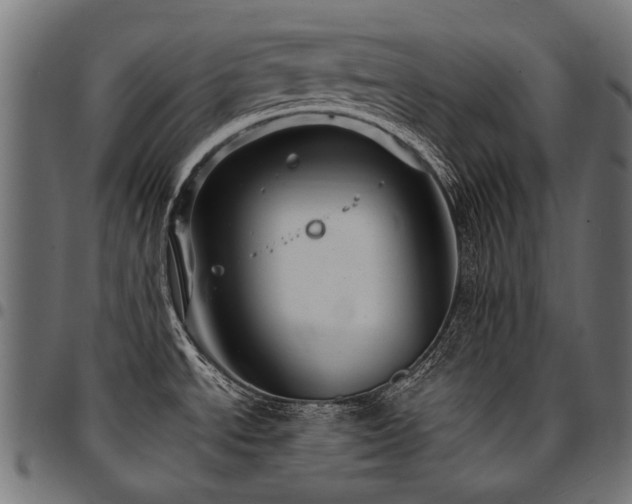 X0000095541534200712141513
