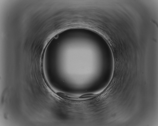 X0000095541535200712141513