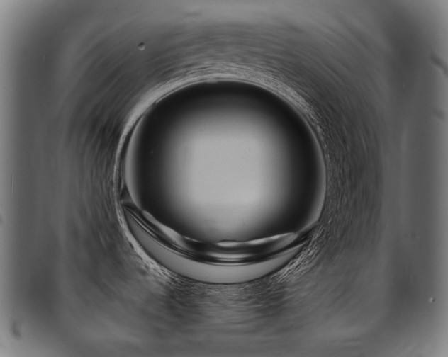 X0000095541536200712141513