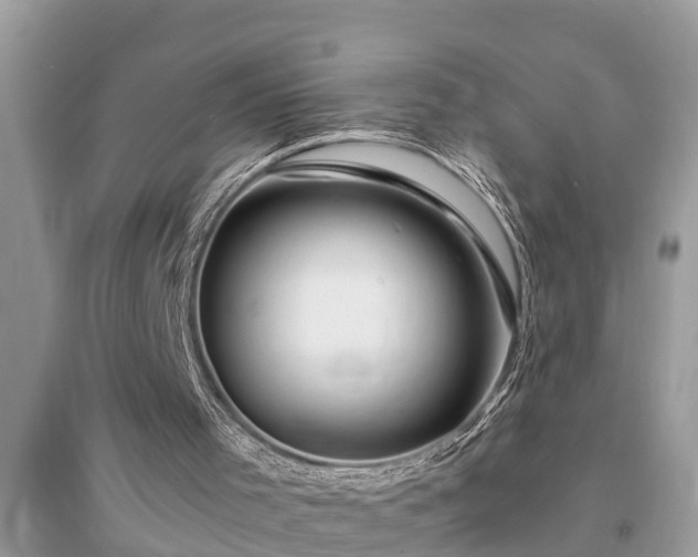 X0000095540001200712211358