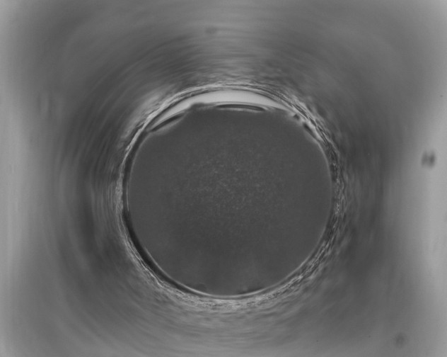 X0000095540002200712211358