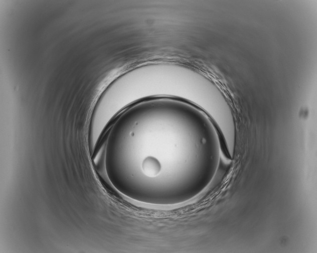 X0000095540003200712211358