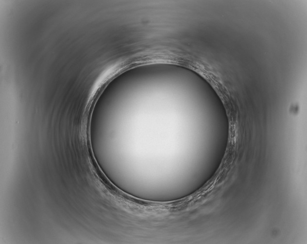 X0000095540004200712211358