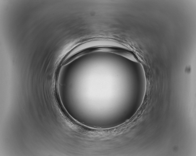 X0000095540005200712211358