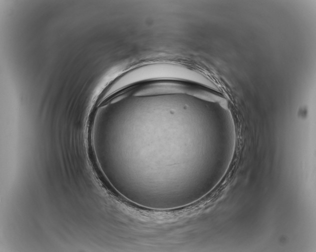 X0000095540006200712211358