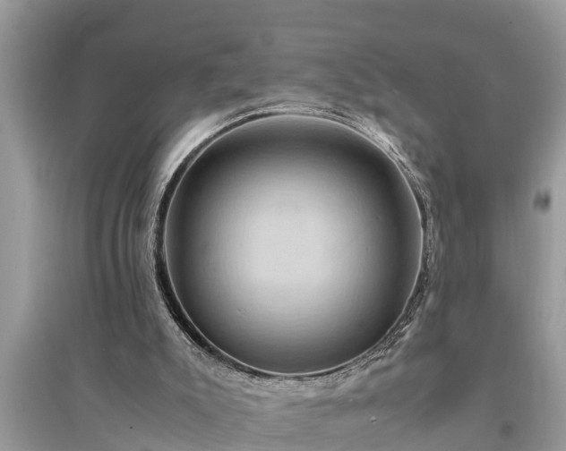 X0000095540007200712211358