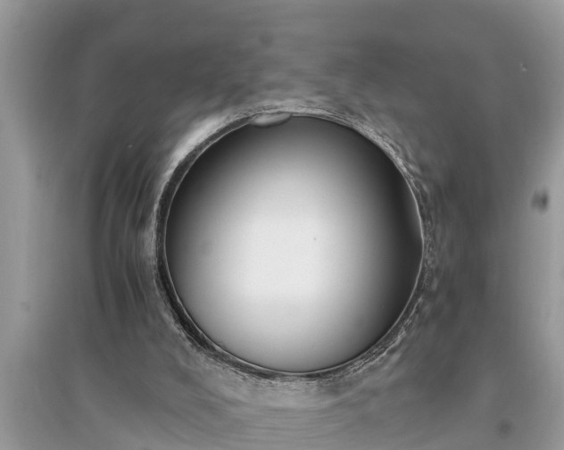 X0000095540008200712211358