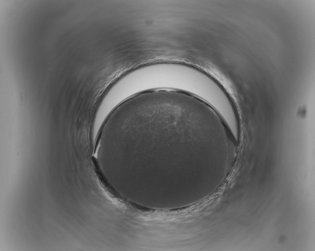 X0000095540009200712211358