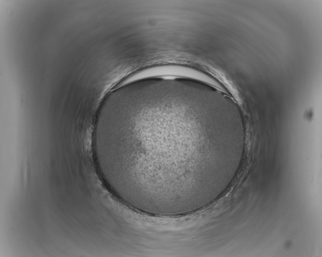 X0000095540010200712211357