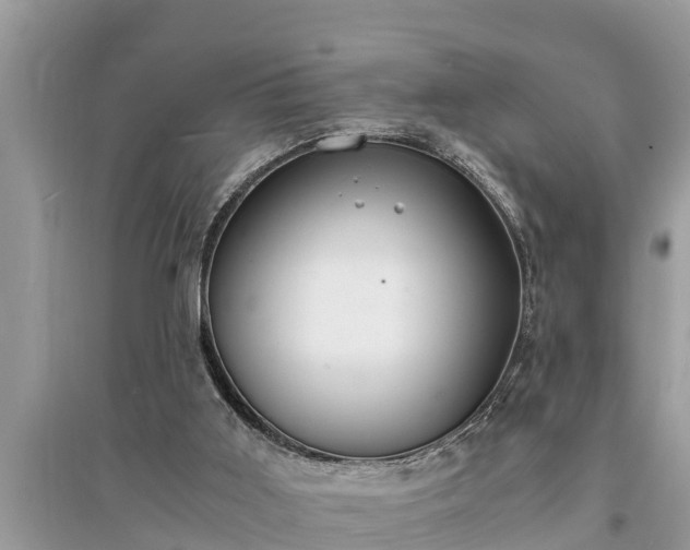 X0000095540011200712211357