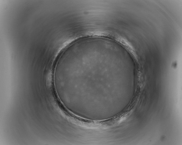 X0000095540012200712211357