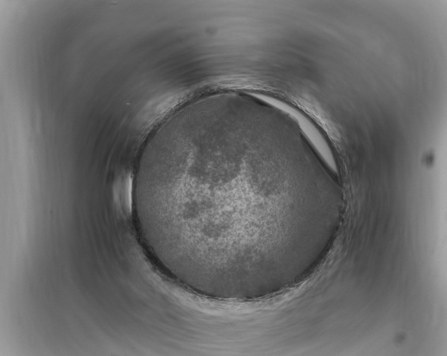 X0000095540014200712211357