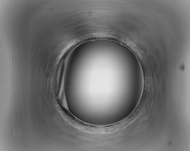 X0000095540015200712211357