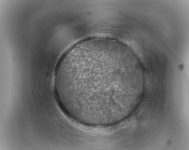 X0000095540016200712211357