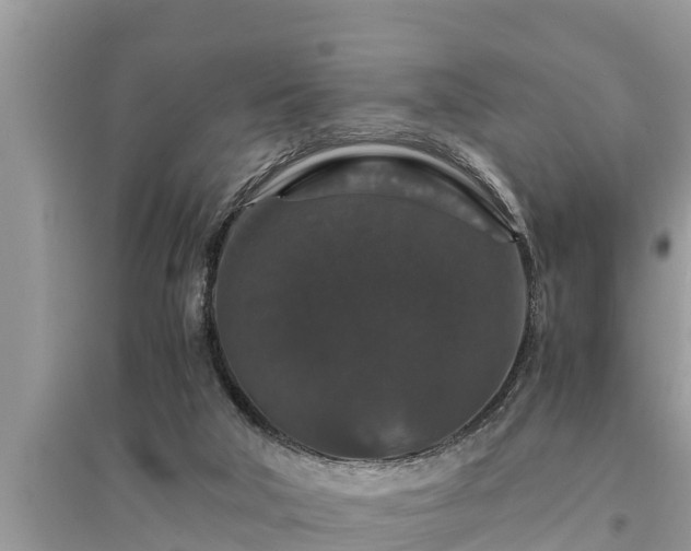 X0000095540018200712211357