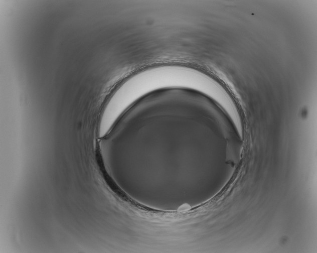 X0000095540019200712211357