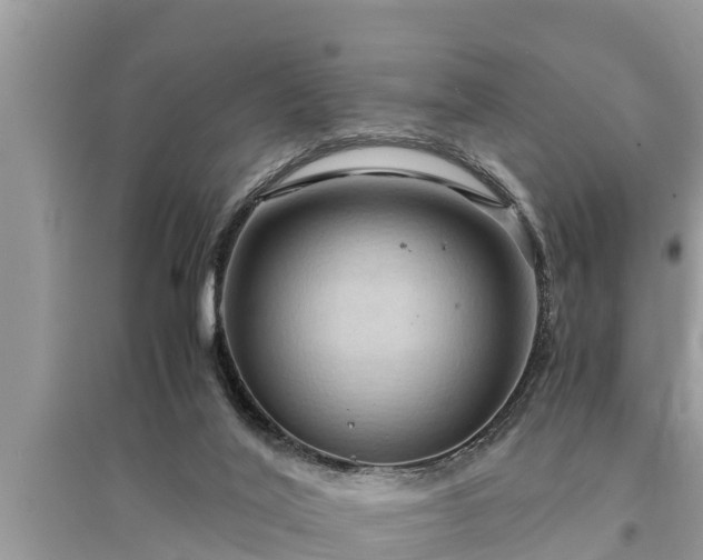 X0000095540020200712211357